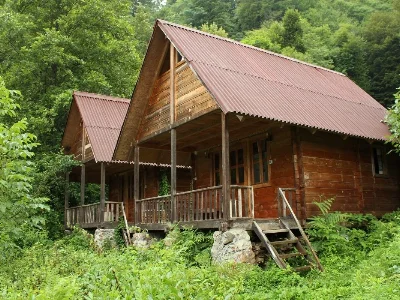 Orman Manzaralı Bungalovlar